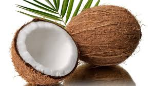 cocconut