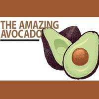 avicado